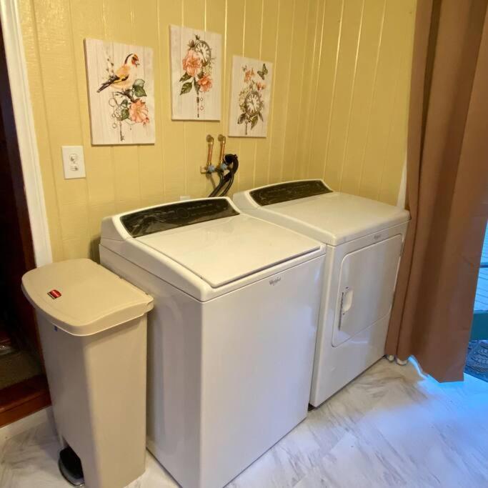 Snow Bunny Cottage, Pets Welcomed! Green Valley Lake エクステリア 写真