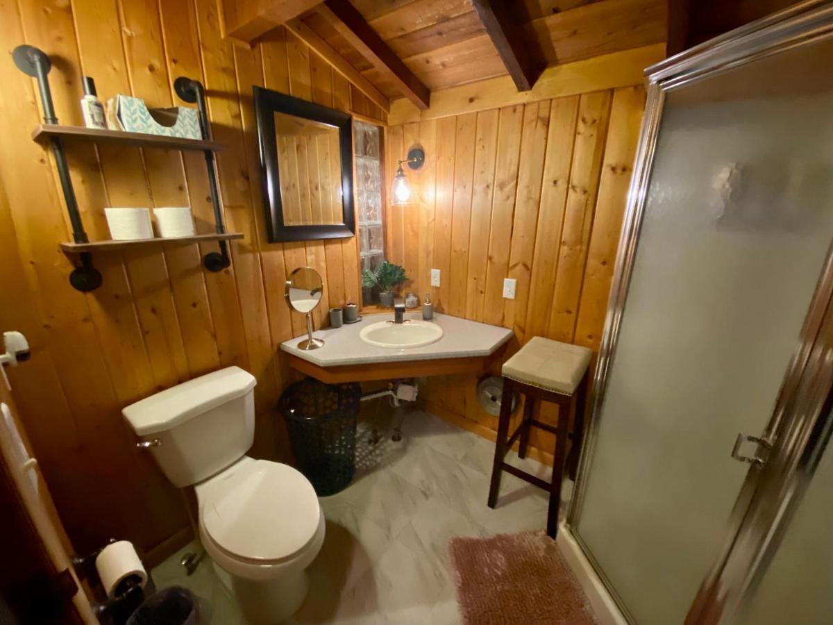 Snow Bunny Cottage, Pets Welcomed! Green Valley Lake エクステリア 写真