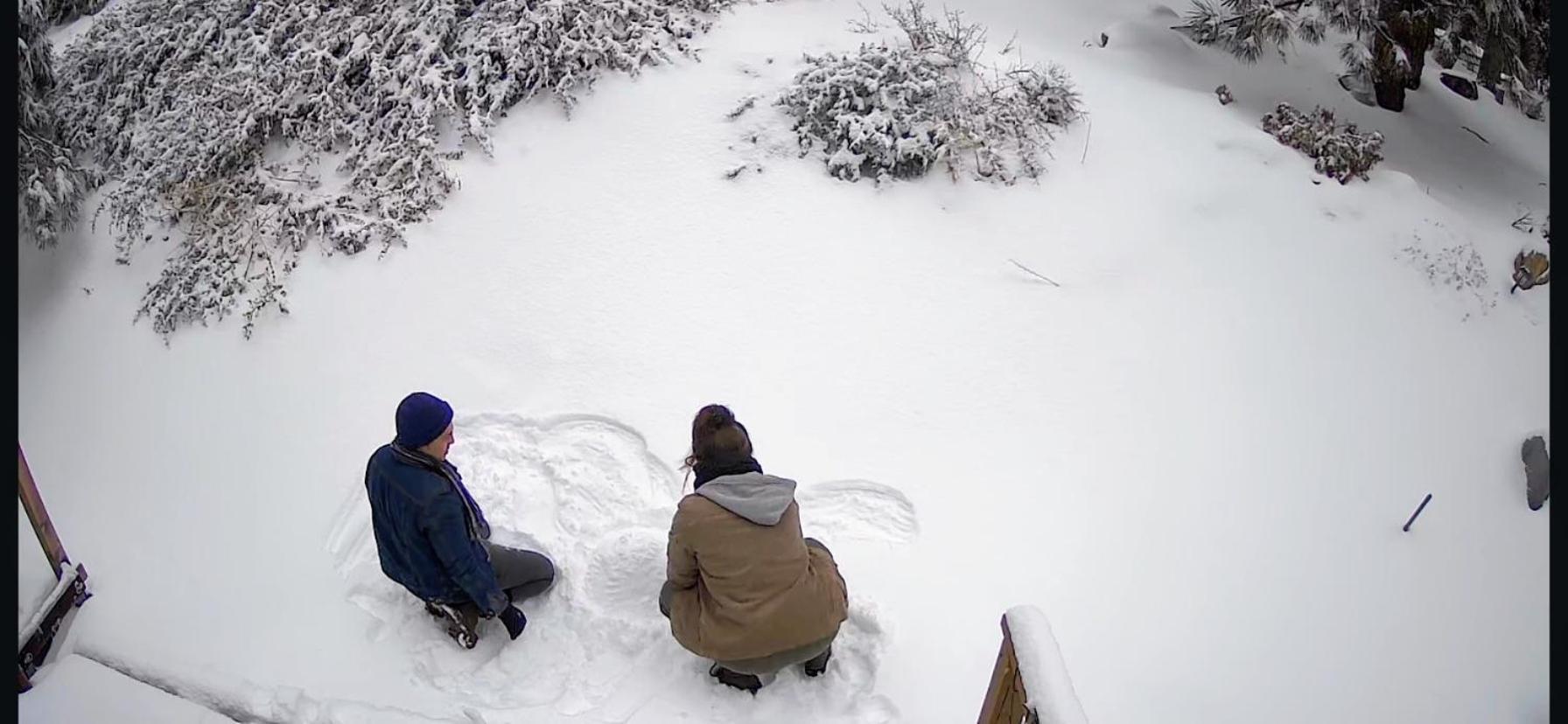 Snow Bunny Cottage, Pets Welcomed! Green Valley Lake エクステリア 写真